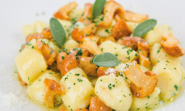 Stuffed potato gnocchi with chanterelle sauce