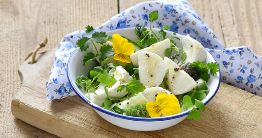 Triangoli di mozzarella su una saporita insalata alle erbe aromatiche selvatiche